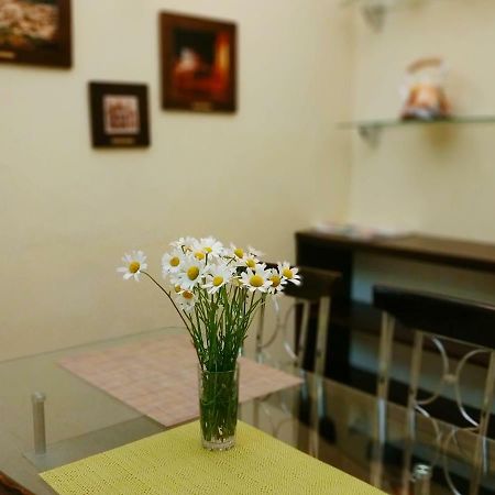Lviv City Apartment Kültér fotó
